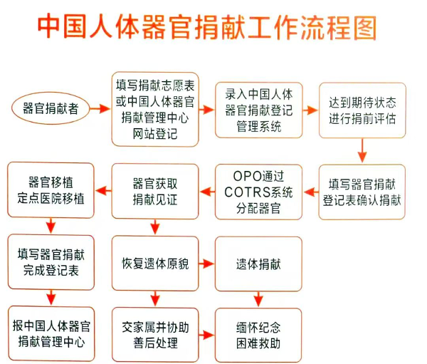 1器官捐献
